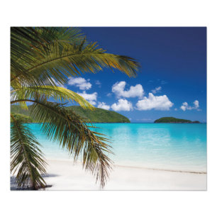 Tropical Beach Scene Photo Print