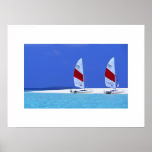 Tropical Beach Scene Poster