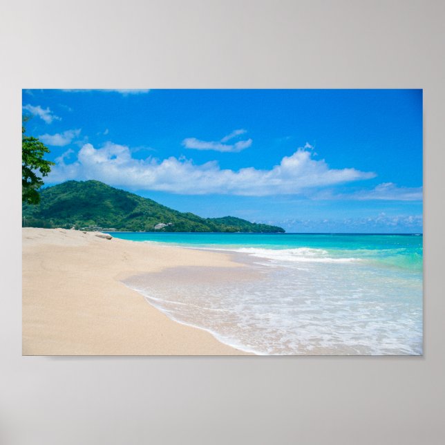 Tropical Beach Scenic Photo Poster (Front)