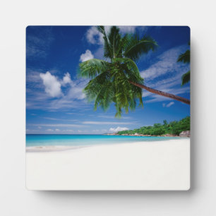 Tropical Beach   Seychelles Plaque