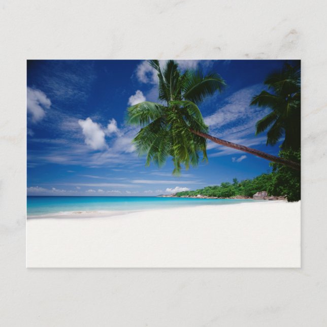 Tropical Beach | Seychelles Postcard (Front)