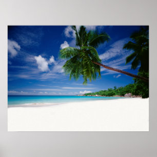 Tropical Beach   Seychelles Poster