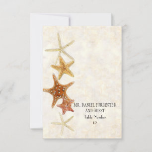 Tropical Beach Shells Starfish Nautilus Summer Invitation