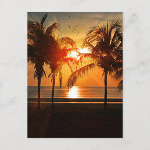 TROPICAL BEACH SUNSET POSTCARDS