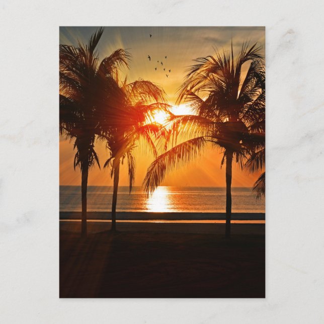 TROPICAL BEACH SUNSET POSTCARDS (Front)