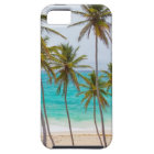 Tropical Beach Theme