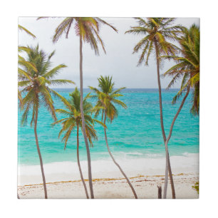 Tropical Beach with Palm Tree Tile
