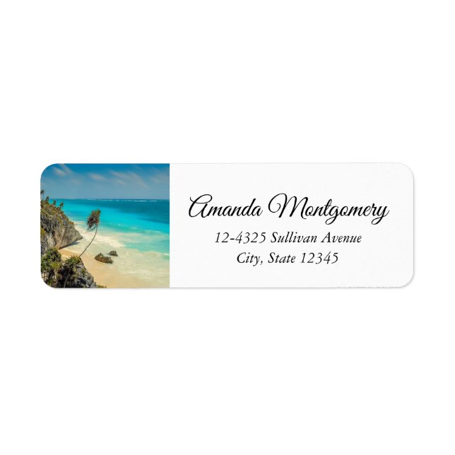 Tropical Beach with Wind Swept Palm Trees (Front)