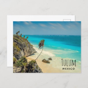 Tropical Beach with Wind Swept Palm Trees Postcard