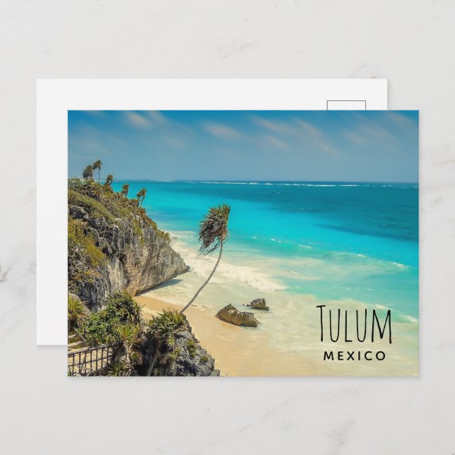 Tropical Beach with Wind Swept Palm Trees Postcard (Front/Back)