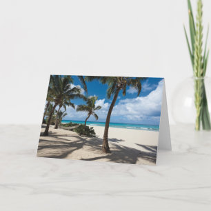 Tropical Beaches   Anguilla Beach, Palm Tree Card