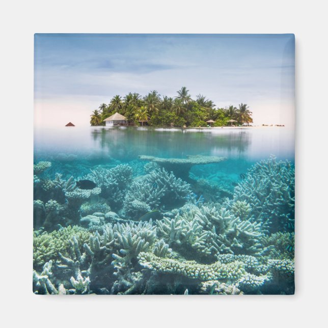 Tropical Beaches | Ari Atoll Maldives Magnet (Front)