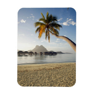 Tropical Beaches   Beach Huts, Bora Bora Magnet