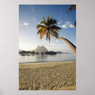 Tropical Beaches   Beach Huts, Bora Bora Poster