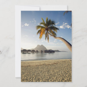 Tropical Beaches   Beach Huts, Bora Bora Thank You Card
