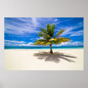 Tropical Beaches Bora Bora, French Polynesia Poster