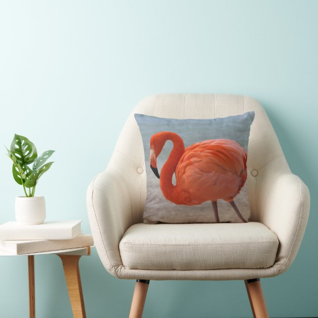Tropical Beaches | Caribbean Flamingo, Aruba Cushion (Chair)