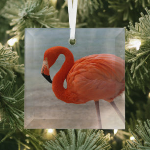 Tropical Beaches Caribbean Flamingo, Aruba Glass Tree Decoration