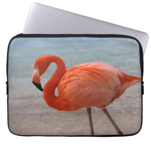Tropical Beaches Caribbean Flamingo, Aruba Laptop Sleeve