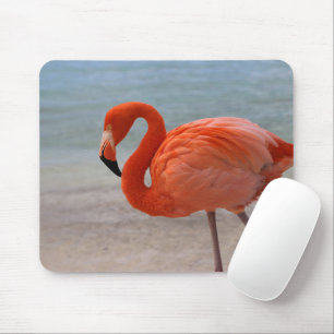 Tropical Beaches Caribbean Flamingo, Aruba Mouse Mat