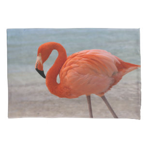 Tropical Beaches Caribbean Flamingo, Aruba Pillowcase