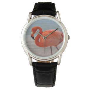 Tropical Beaches   Caribbean Flamingo, Aruba Watch