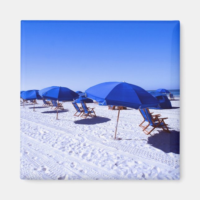 Tropical Beaches | Clearwater, Florida Magnet (Front)