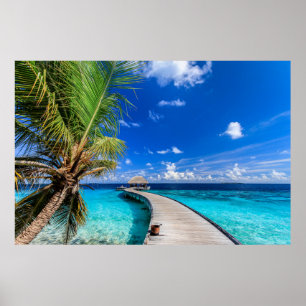 Tropical Beaches   Dusit Thani Maldives Poster