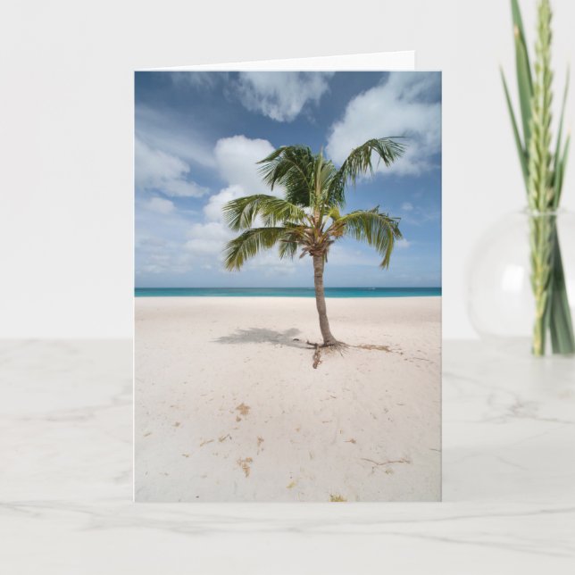 Tropical Beaches | Eagle Beach, Aruba Card (Front)