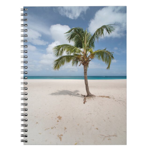 Tropical Beaches | Eagle Beach, Aruba Notebook (Front)