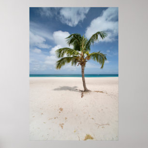 Tropical Beaches   Eagle Beach, Aruba Poster