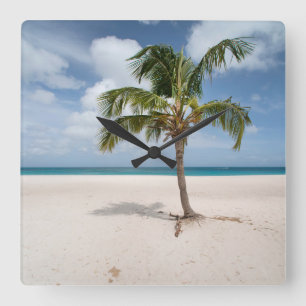 Tropical Beaches   Eagle Beach, Aruba Square Wall Clock