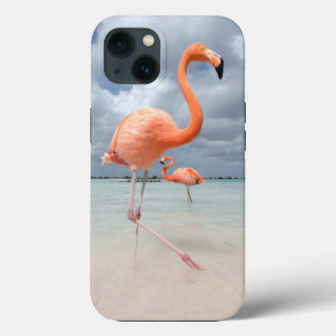 Tropical Beaches Flamingos Beach, Aruba iPhone 13 Case