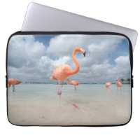 Tropical Beaches | Flamingos Beach, Aruba