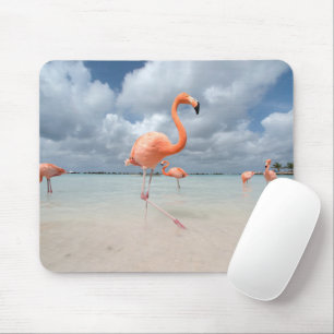 Tropical Beaches Flamingos Beach, Aruba Mouse Mat