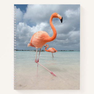Tropical Beaches Flamingos Beach, Aruba Notebook