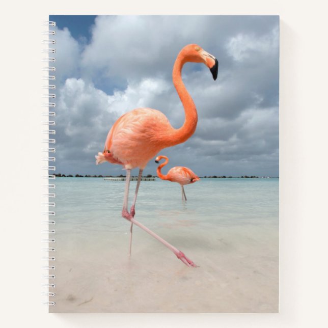 Tropical Beaches | Flamingos Beach, Aruba Notebook (Front)