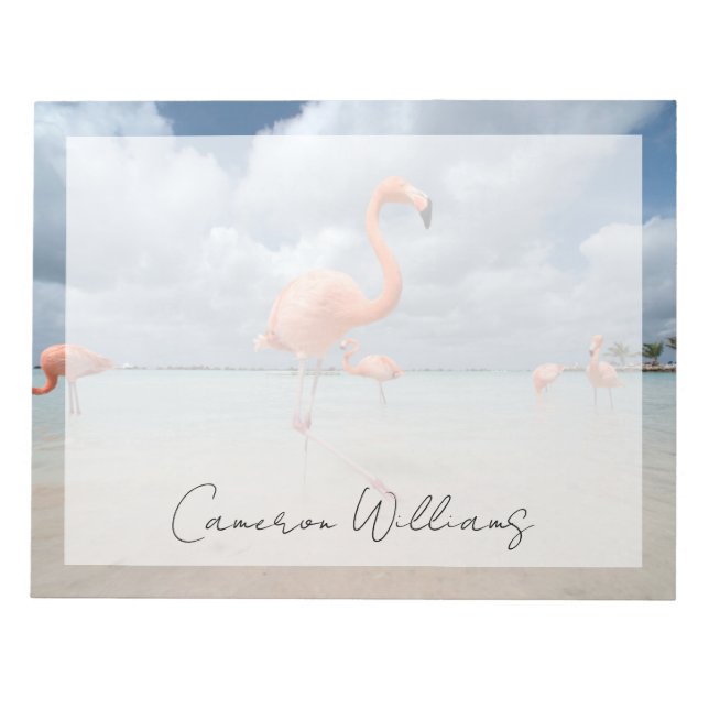 Tropical Beaches | Flamingos Beach, Aruba Notepad (Front)