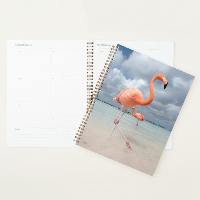Tropical Beaches | Flamingos Beach, Aruba Planner (Display)