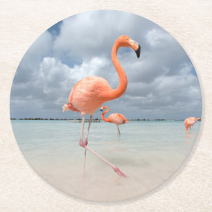 Tropical Beaches   Flamingos Beach, Aruba Round Paper Coaster