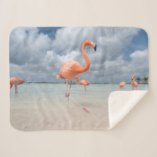 Tropical Beaches Flamingos Beach, Aruba Sherpa Blanket