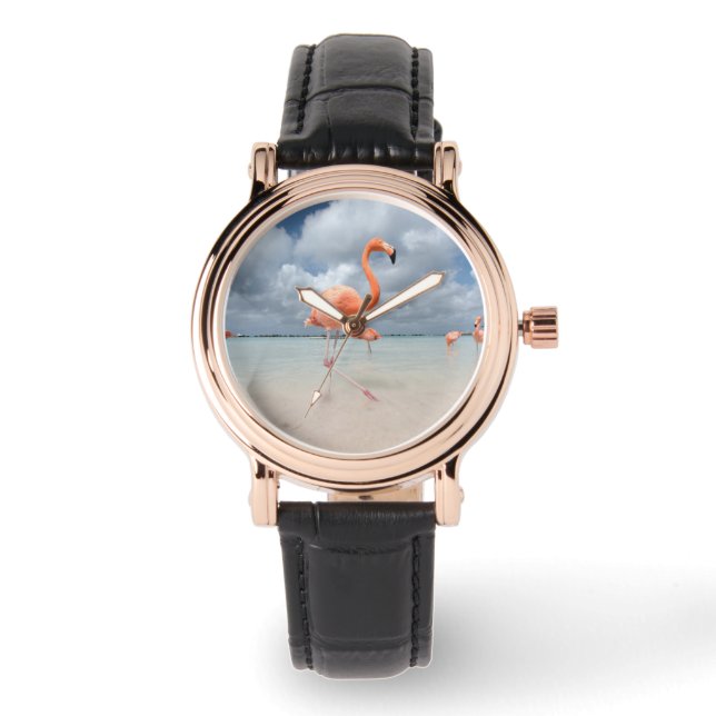 Tropical Beaches | Flamingos Beach, Aruba Watch (Front)