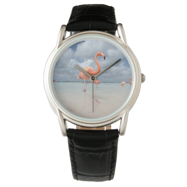 Tropical Beaches | Flamingos Beach, Aruba Watch (Front)