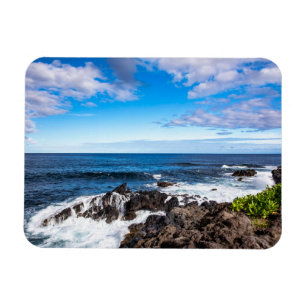 Tropical Beaches   Haleakala National Park Maui Magnet