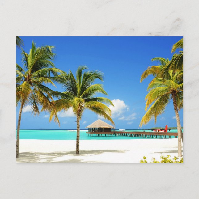 Tropical Beaches | Island & Lagoon, Maldives Postcard (Front)
