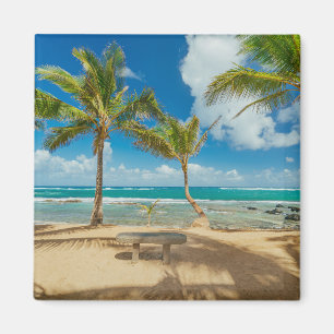 Tropical Beaches Kuau Cove Beach, Maui Hawaii Magnet