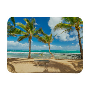 Tropical Beaches Kuau Cove Beach, Maui Hawaii Magnet
