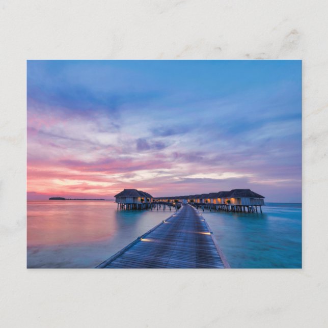 Tropical Beaches | Maldives Bungalows Postcard (Front)