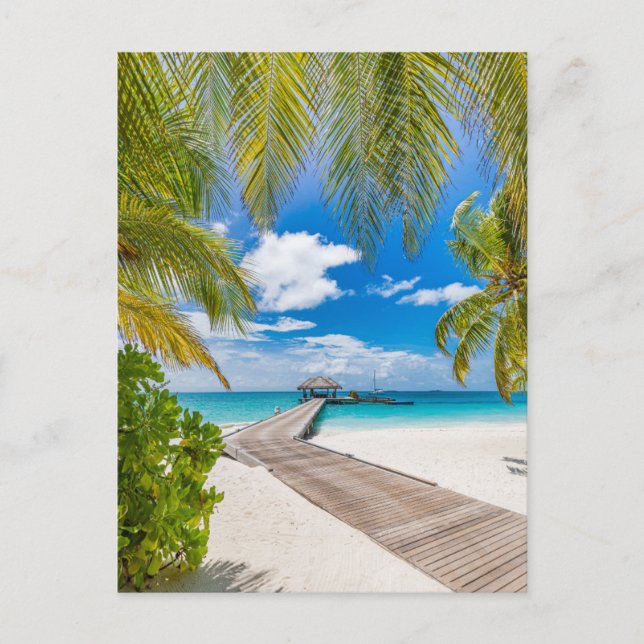 Tropical Beaches | Maldives Island Wooden Jetty Postcard (Front)