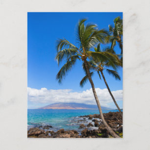 Tropical Beaches   Maui Hawaii Island Postcard